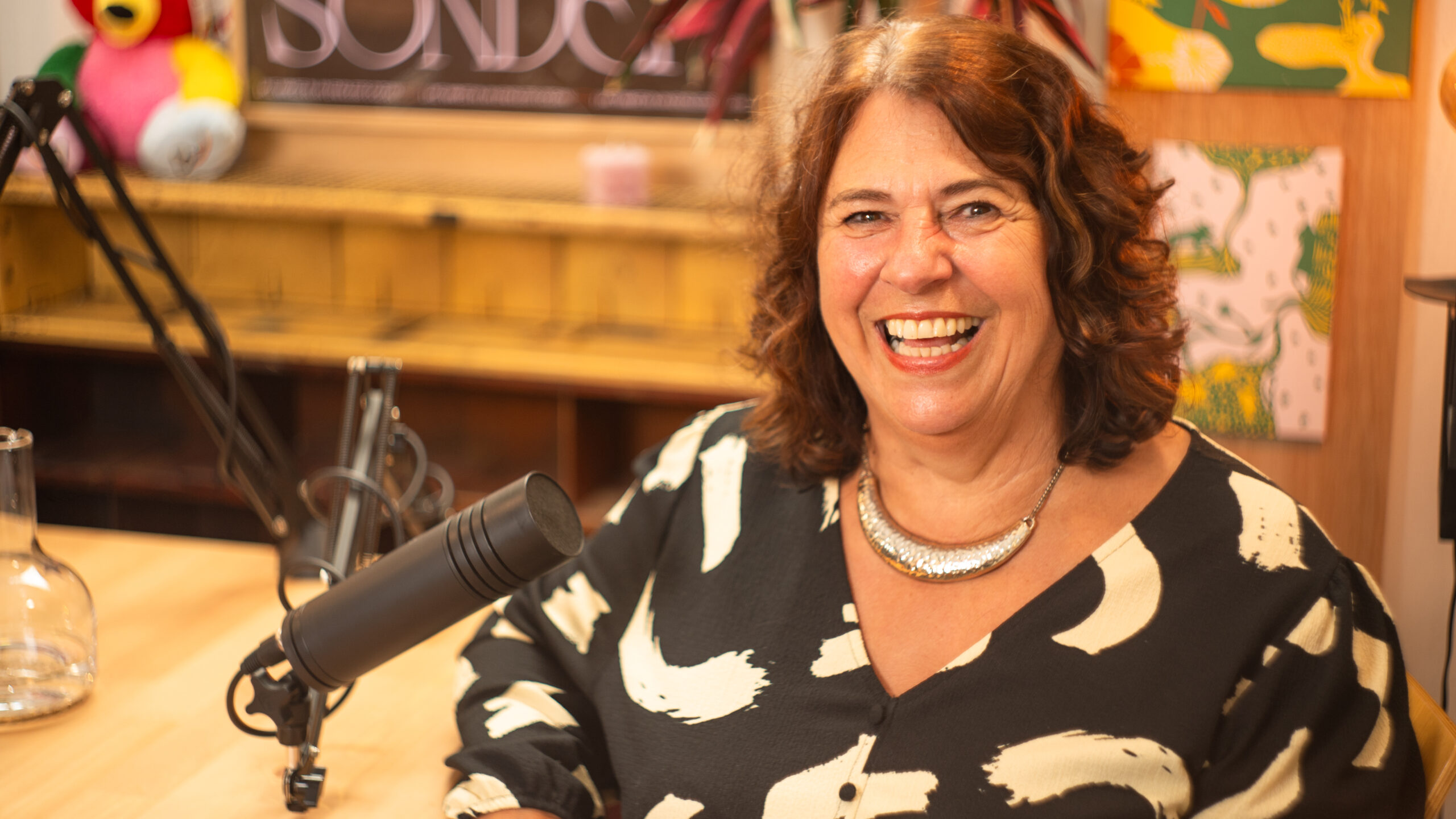 The picture shows a person seated at a table with a microphone in front of them. The individual is wearing a black and white patterned top and a silver necklace. In the background, there are shelves displaying various items, including stuffed toys and artwork on the wall, giving the setting a warm and personal feel.